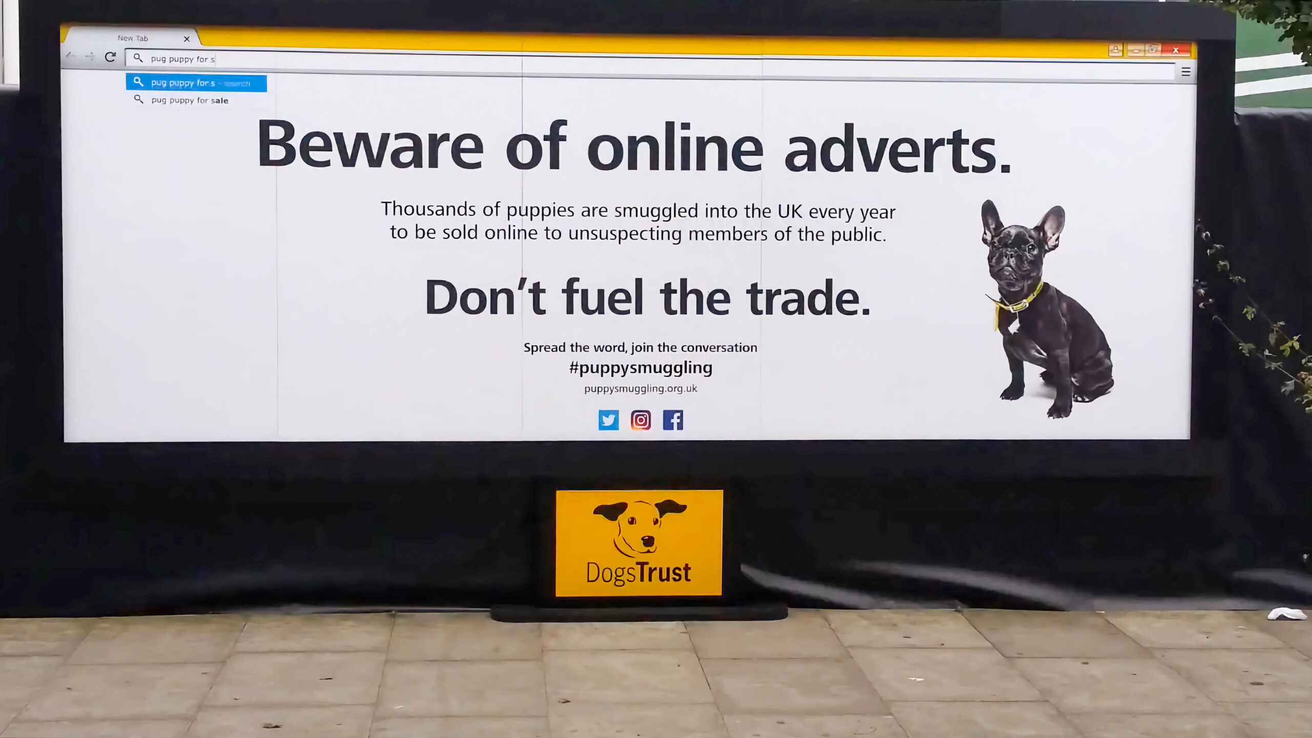Dogs Trust experiential billboard